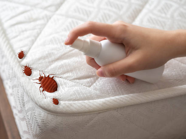 Best Pest Control for Multi-Family Homes  in Brookside, AL